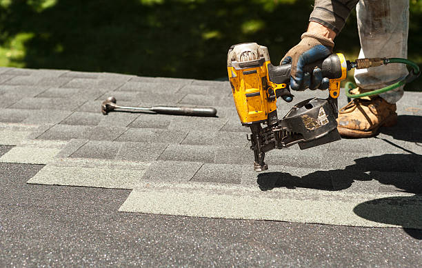 Best Roof Gutter Cleaning  in Dubach, LA